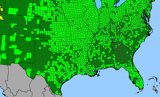 The range of Teucrium canadense